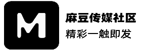 麻豆社区文化结构观测站