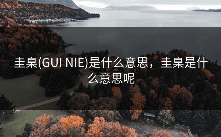 圭臬(GUI NIE)是什么意思，圭臬是什么意思呢